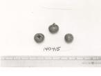 Click for 1 image(s) for this accession. FRUIT